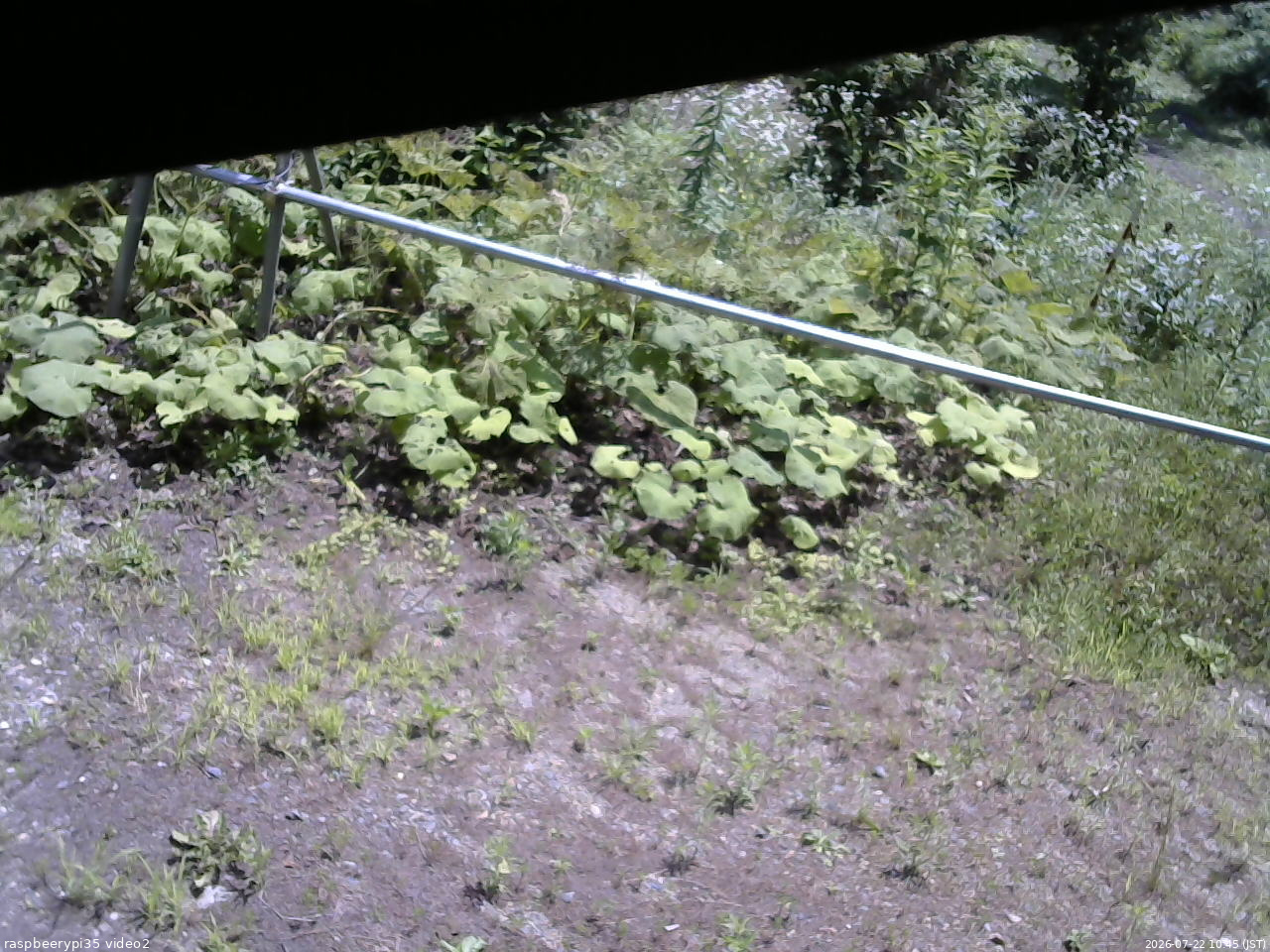 長野県菅平高原 ゆたか山荘 駐車場 2026/07/22 10:45