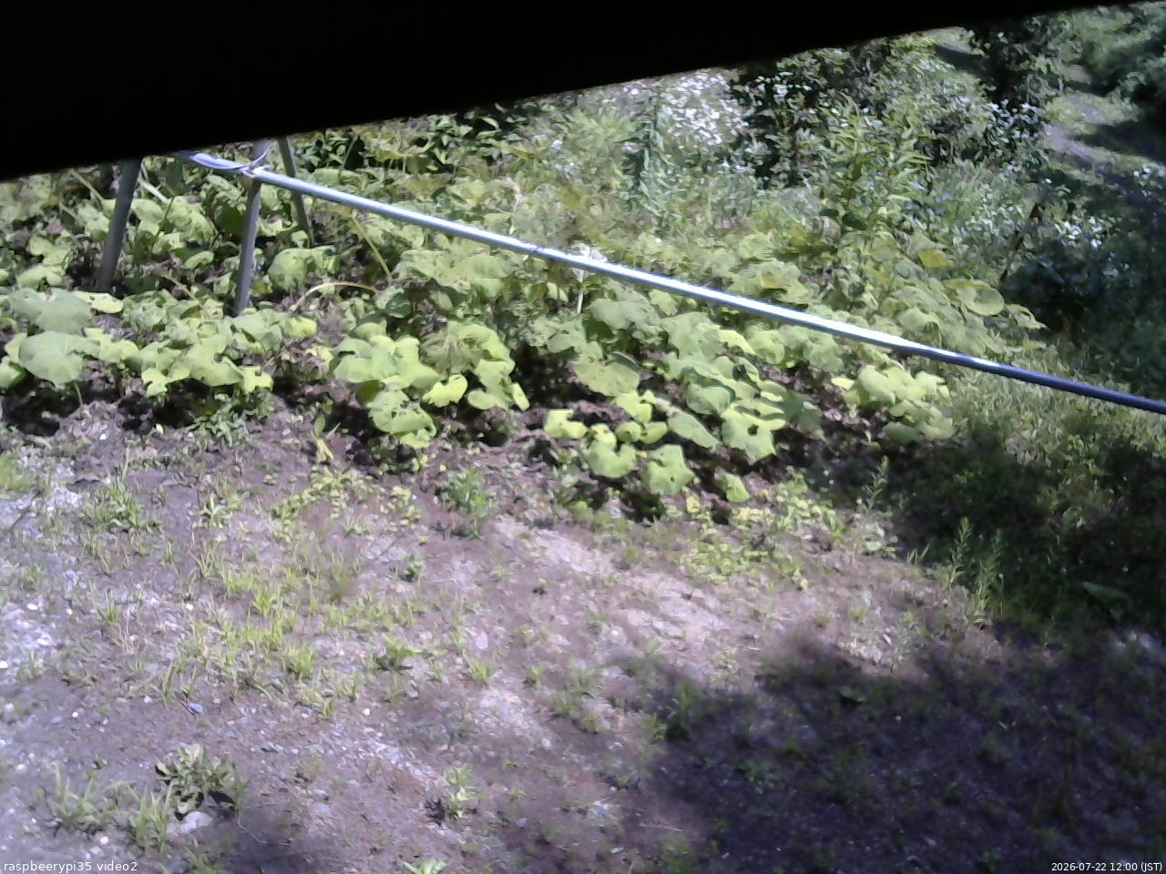 長野県菅平高原 ゆたか山荘 駐車場 2026/07/22 12:00
