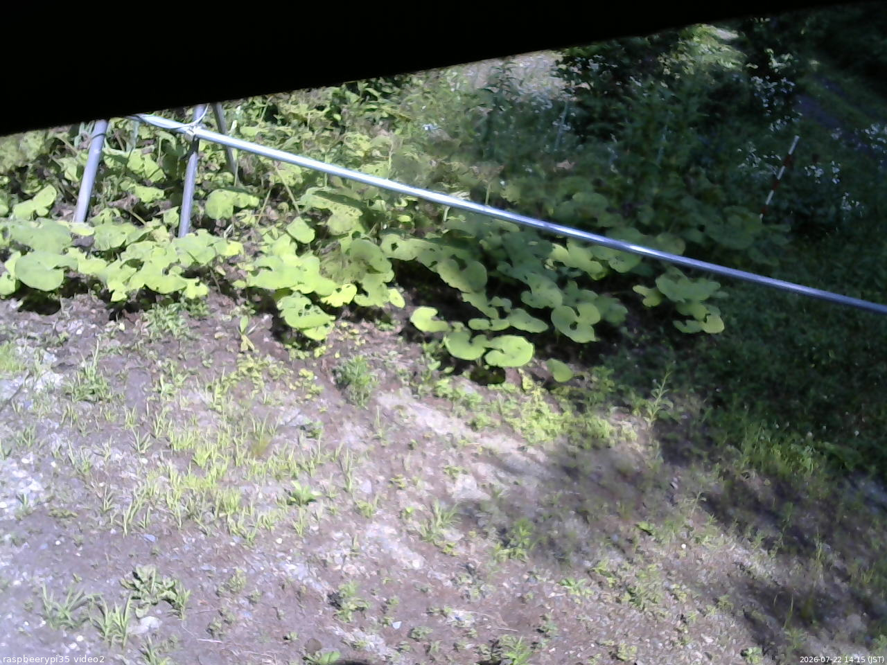 長野県菅平高原 ゆたか山荘 駐車場 2026/07/22 14:15