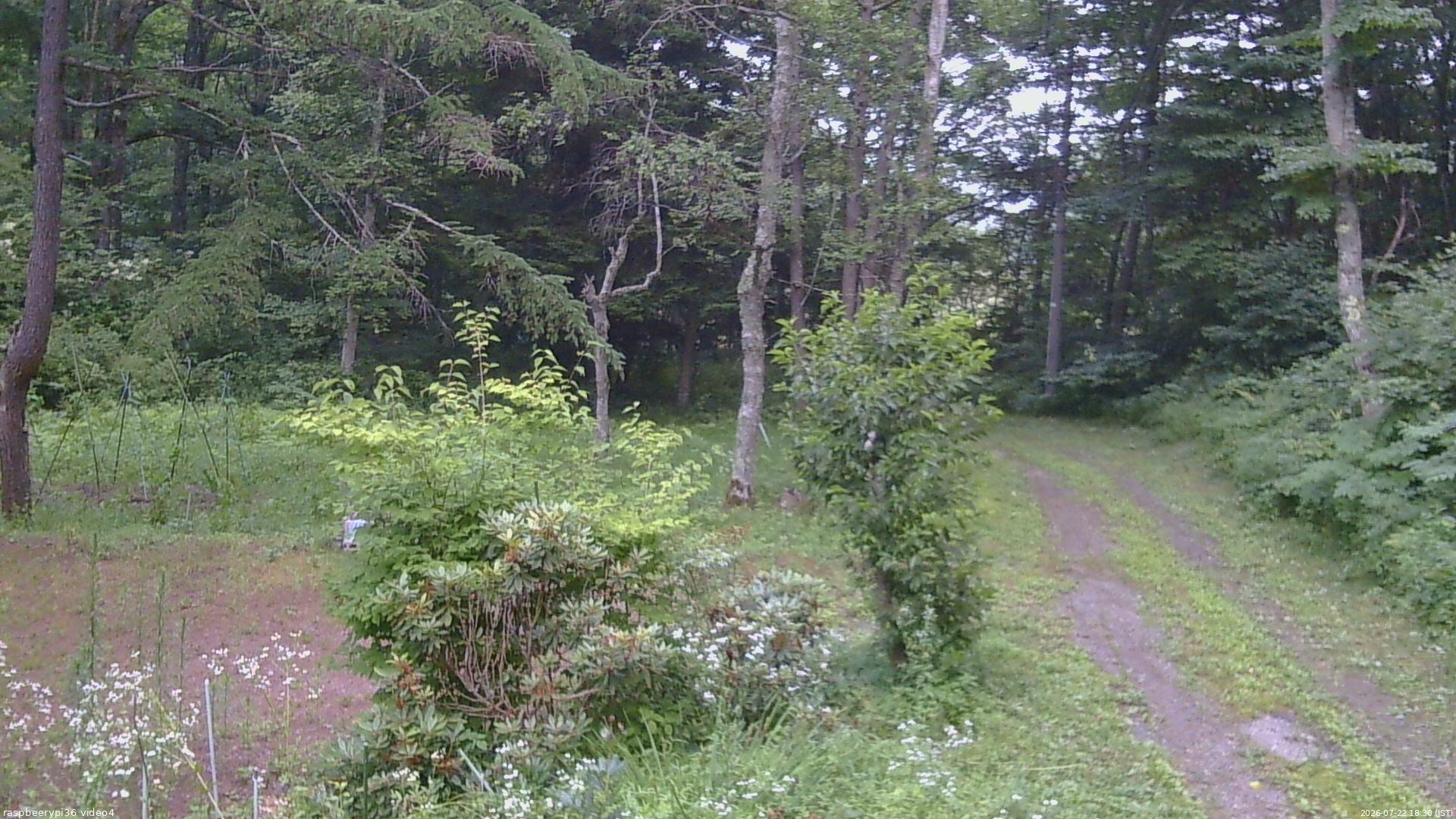 長野県菅平高原 ゆたか山荘 坂上 2026/07/22 18:30