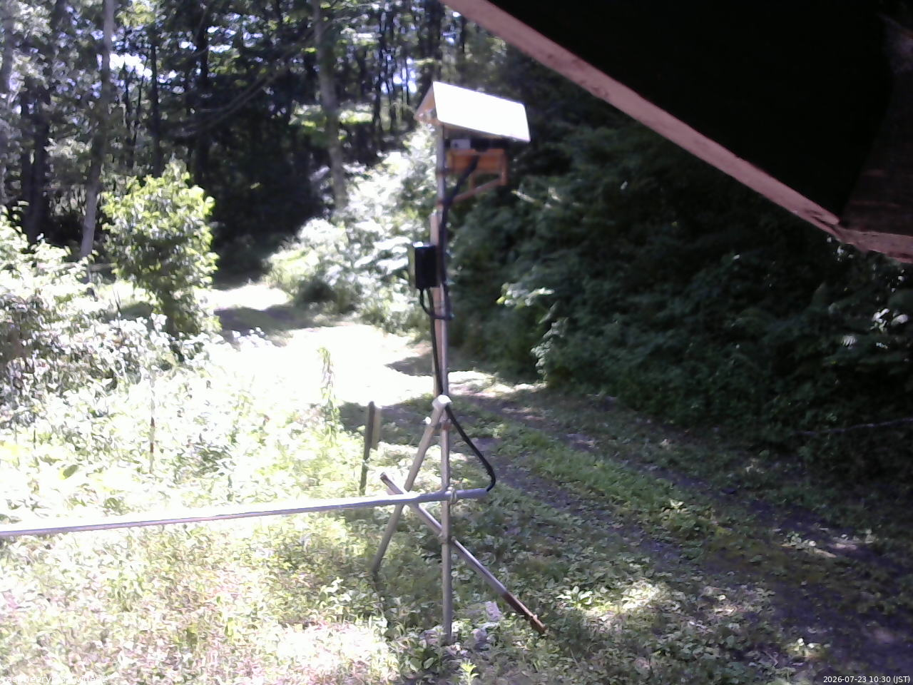 長野県菅平高原 ゆたか山荘 南側 2026/07/23 10:30