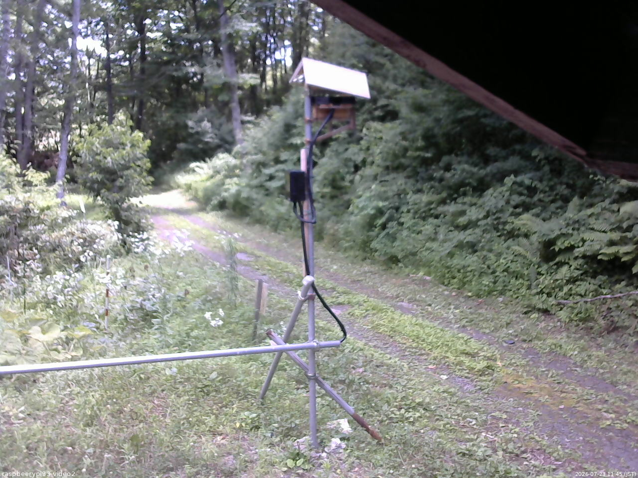 長野県菅平高原 ゆたか山荘 南側 2026/07/23 11:45