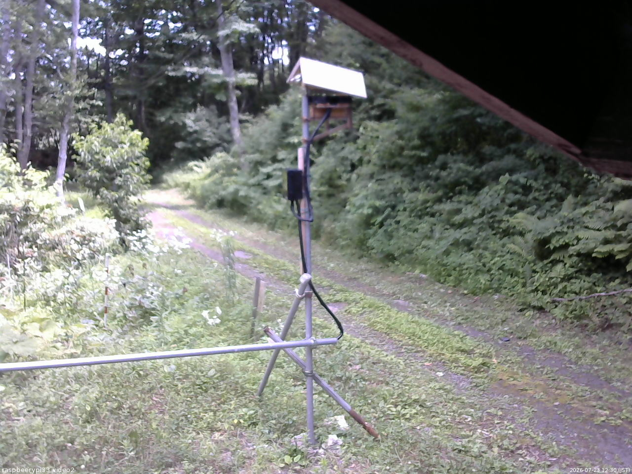 長野県菅平高原 ゆたか山荘 南側 2026/07/23 12:30