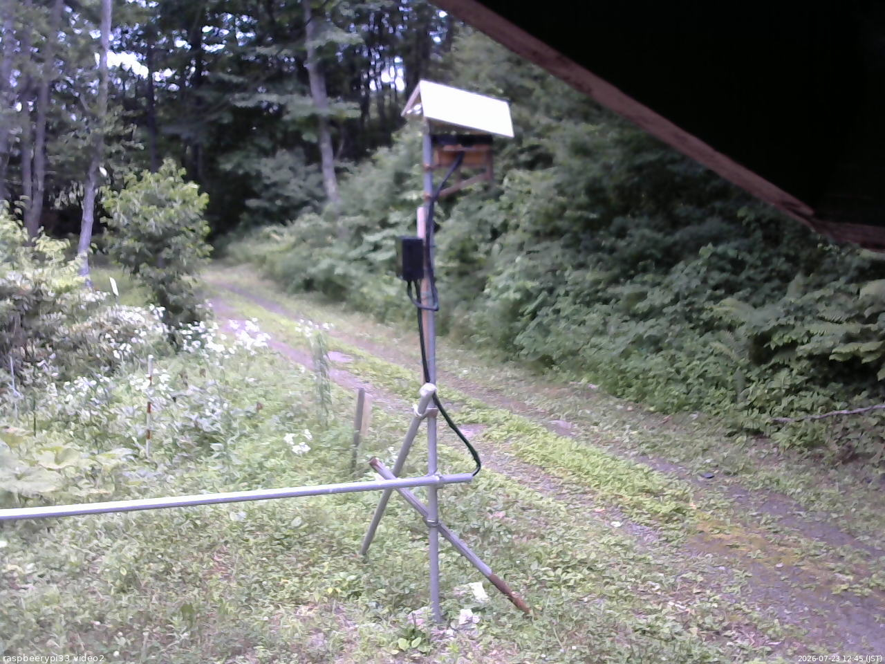 長野県菅平高原 ゆたか山荘 南側 2026/07/23 12:45
