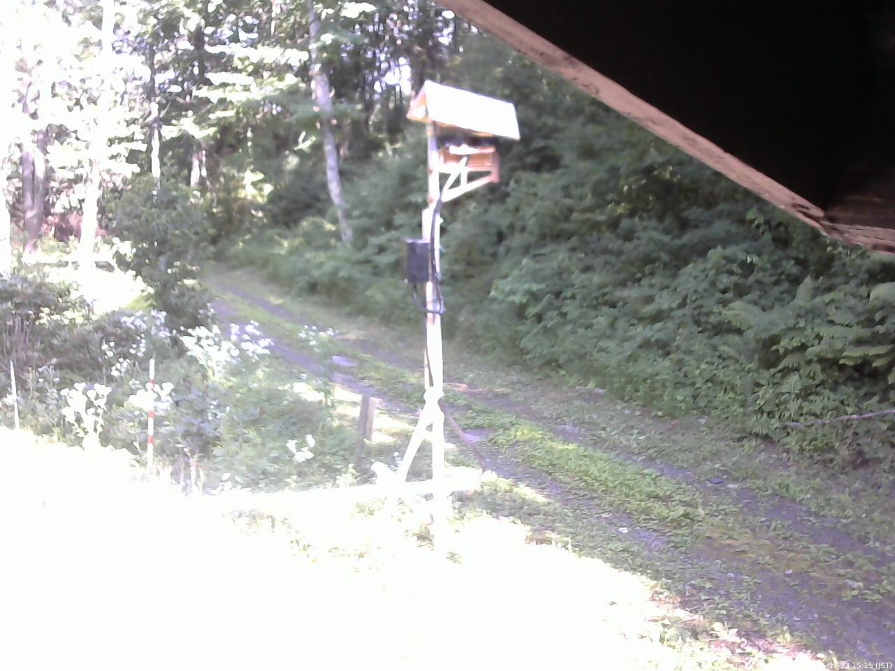 長野県菅平高原 ゆたか山荘 南側 2026/07/23 15:15