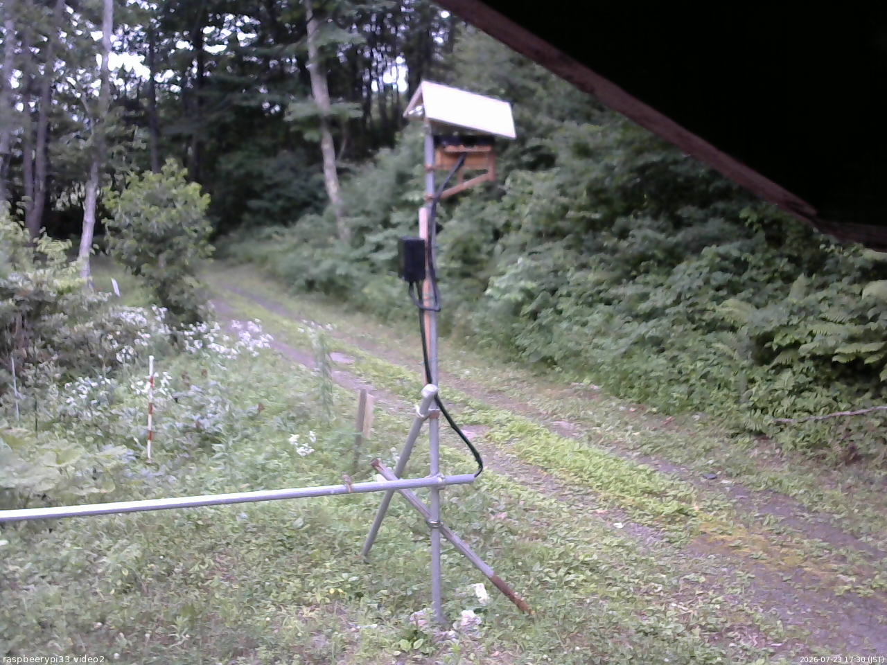 長野県菅平高原 ゆたか山荘 南側 2026/07/23 17:30
