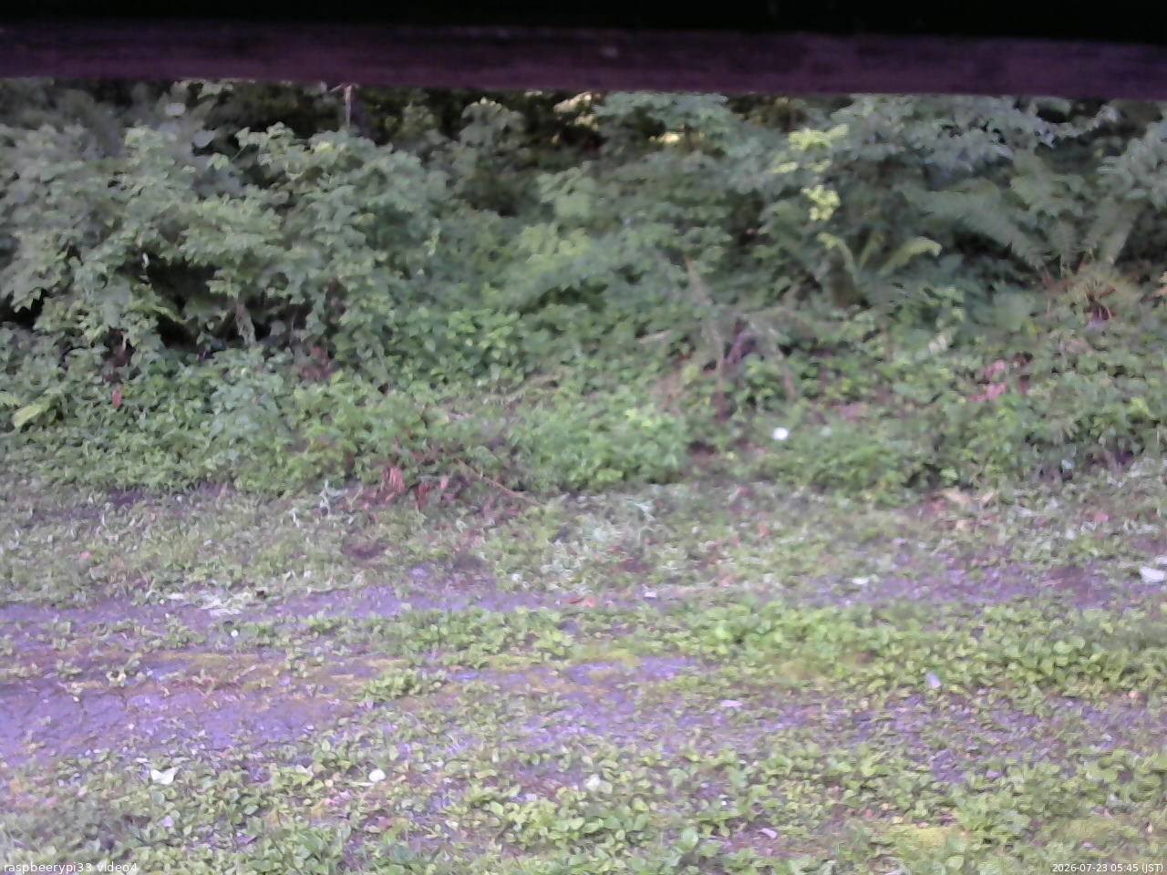 長野県菅平高原 ゆたか山荘 東側(坂下) 2026/07/23 05:45