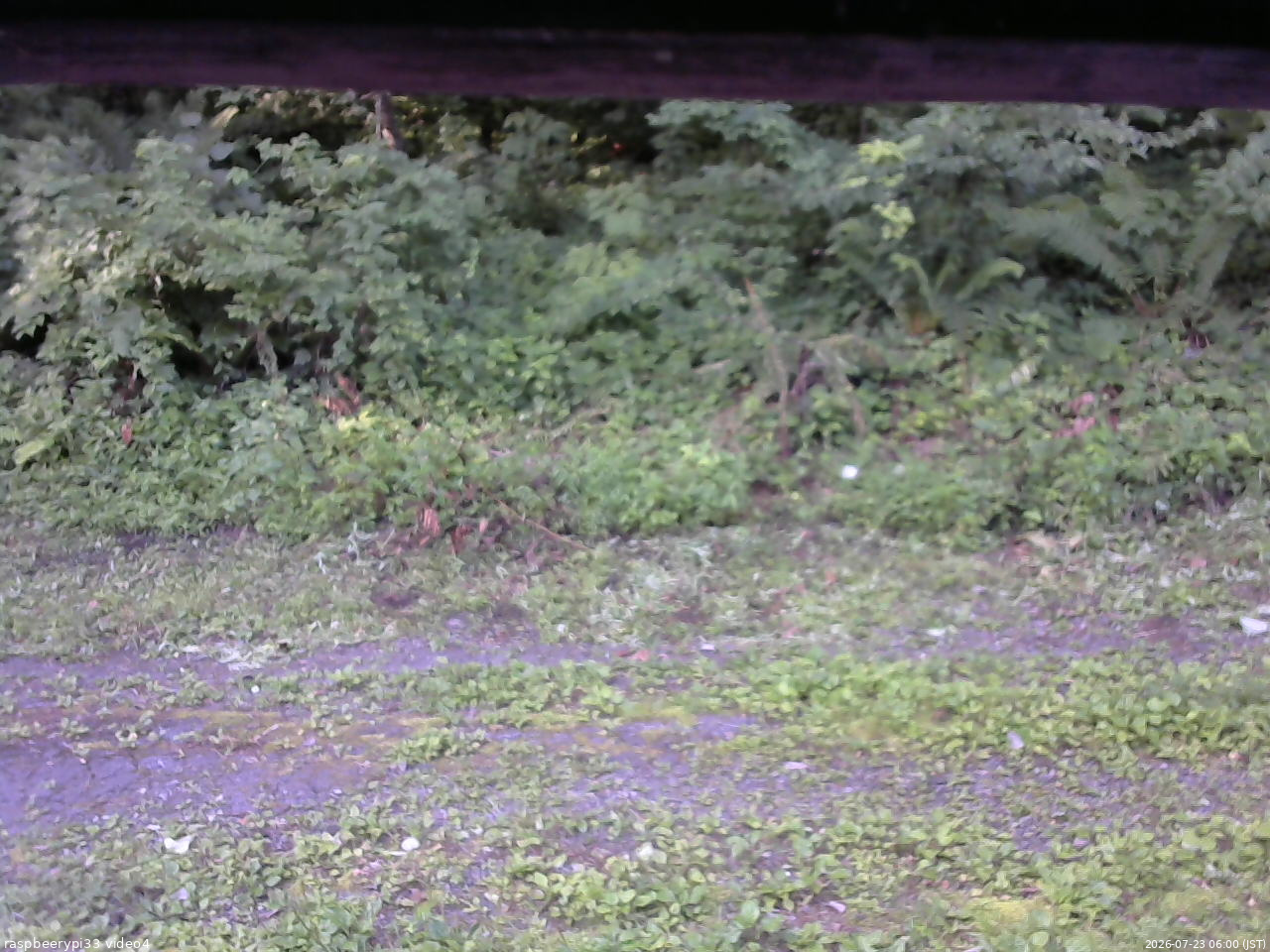 長野県菅平高原 ゆたか山荘 東側(坂下) 2026/07/23 06:00