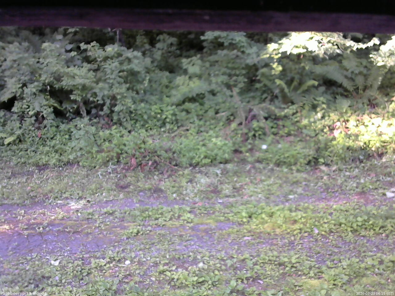 長野県菅平高原 ゆたか山荘 東側(坂下) 2026/07/23 06:15