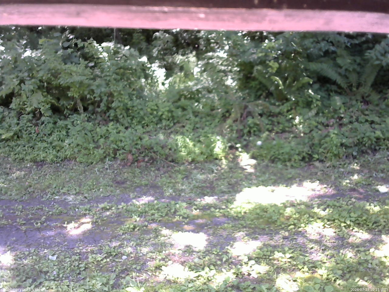 長野県菅平高原 ゆたか山荘 東側(坂下) 2026/07/23 10:15