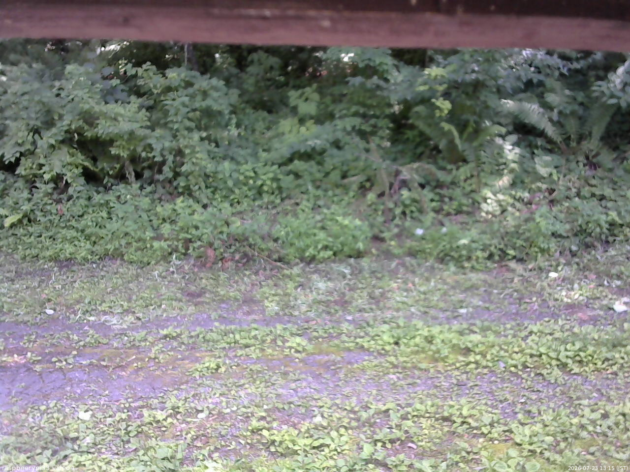 長野県菅平高原 ゆたか山荘 東側(坂下) 2026/07/23 13:15