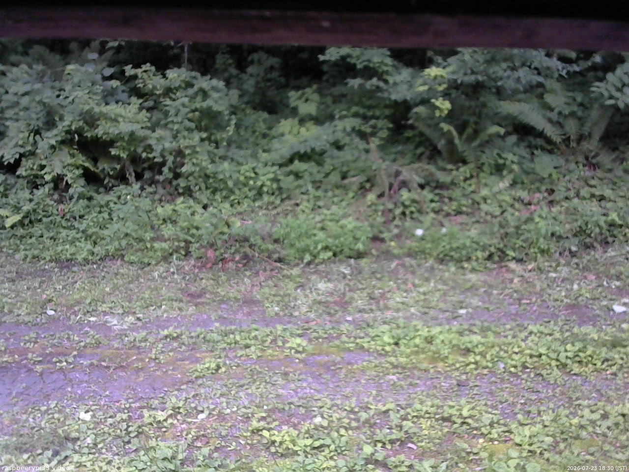 長野県菅平高原 ゆたか山荘 東側(坂下) 2026/07/23 18:30
