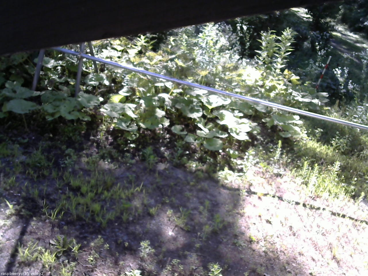 長野県菅平高原 ゆたか山荘 駐車場 2026/07/23 07:45