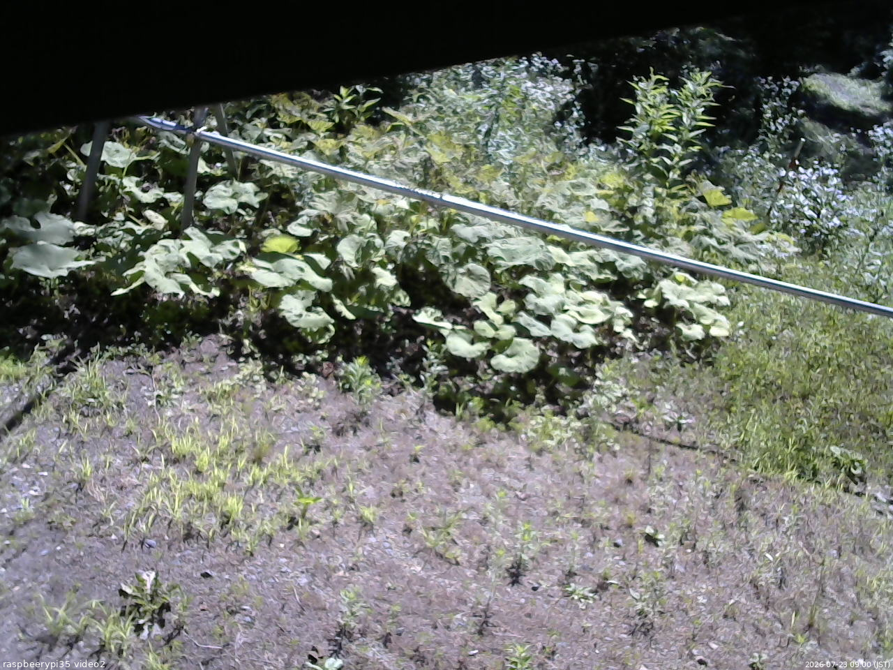 長野県菅平高原 ゆたか山荘 駐車場 2026/07/23 09:00