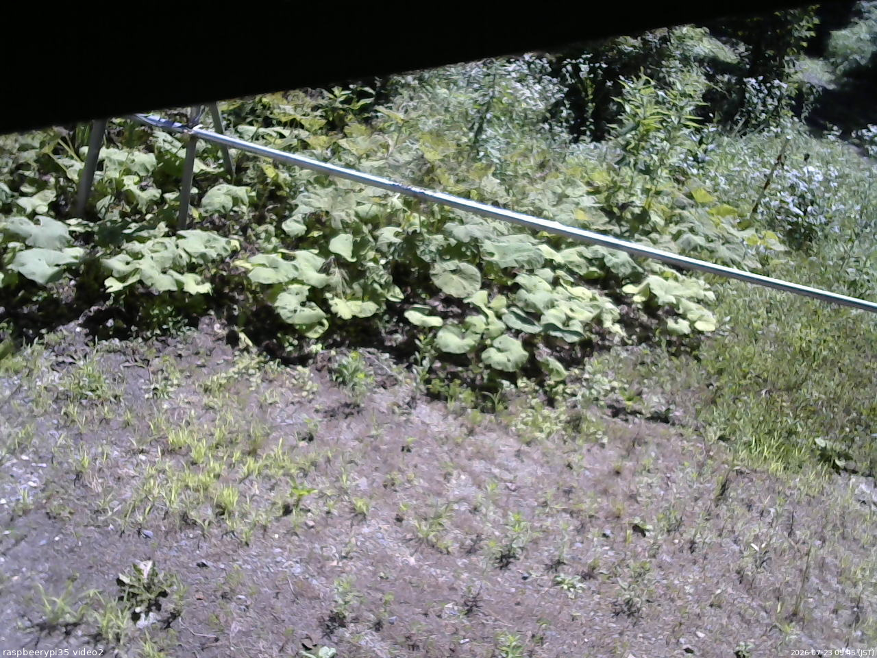 長野県菅平高原 ゆたか山荘 駐車場 2026/07/23 09:45