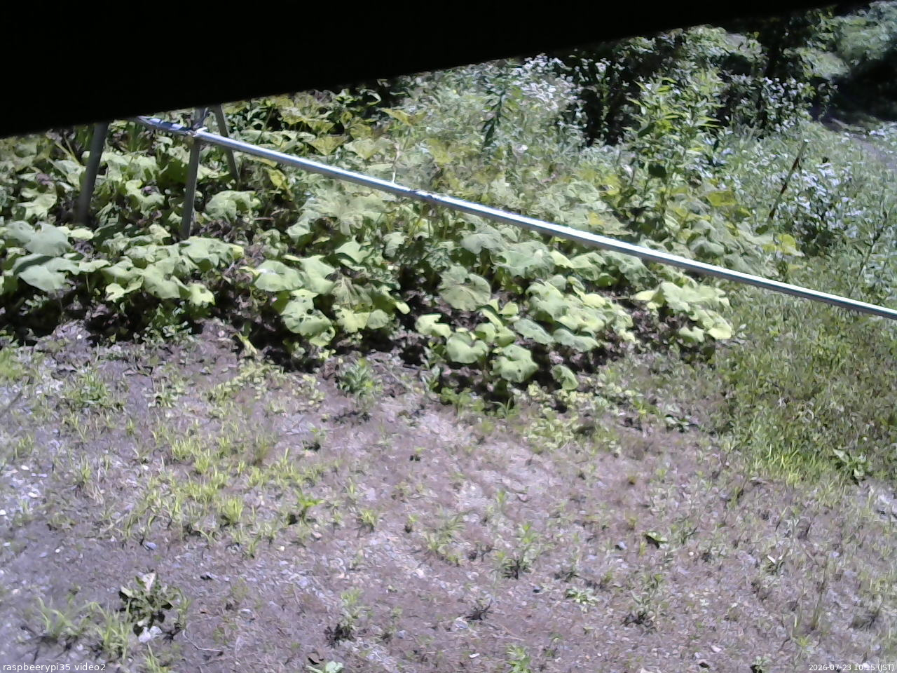 長野県菅平高原 ゆたか山荘 駐車場 2026/07/23 10:15