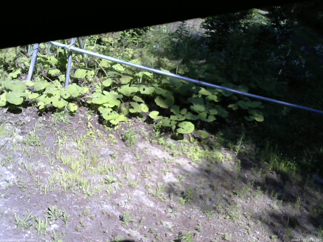 長野県菅平高原 ゆたか山荘 駐車場 2026/07/23 14:15
