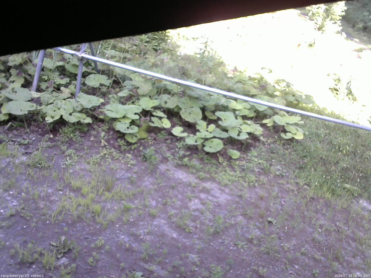 長野県菅平高原 ゆたか山荘 駐車場 2026/07/23 16:45
