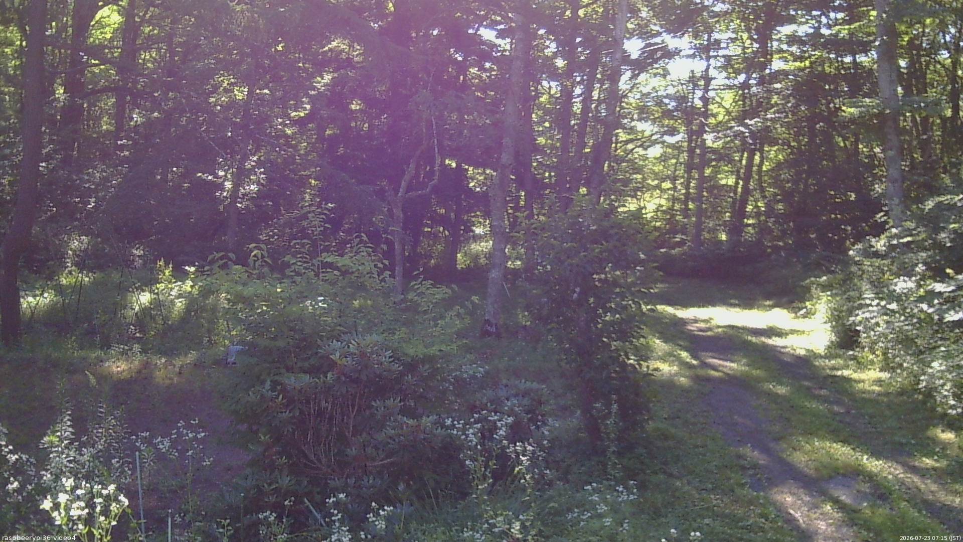 長野県菅平高原 ゆたか山荘 坂上 2026/07/23 07:15
