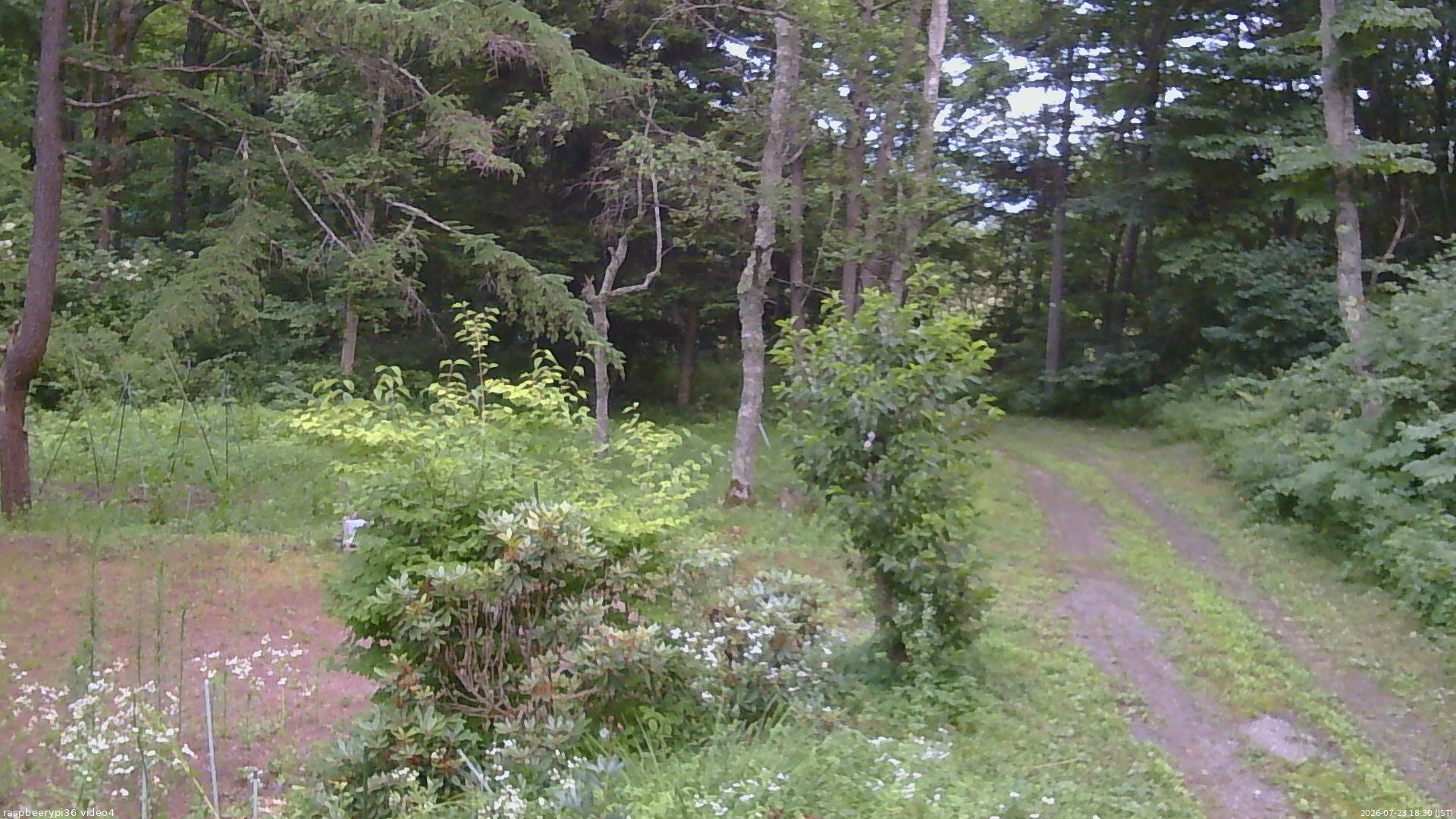 長野県菅平高原 ゆたか山荘 坂上 2026/07/23 18:30