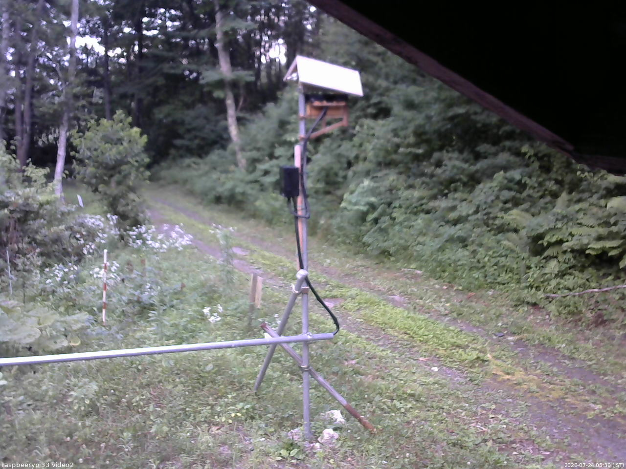 長野県菅平高原 ゆたか山荘 南側 2026/07/24 05:30