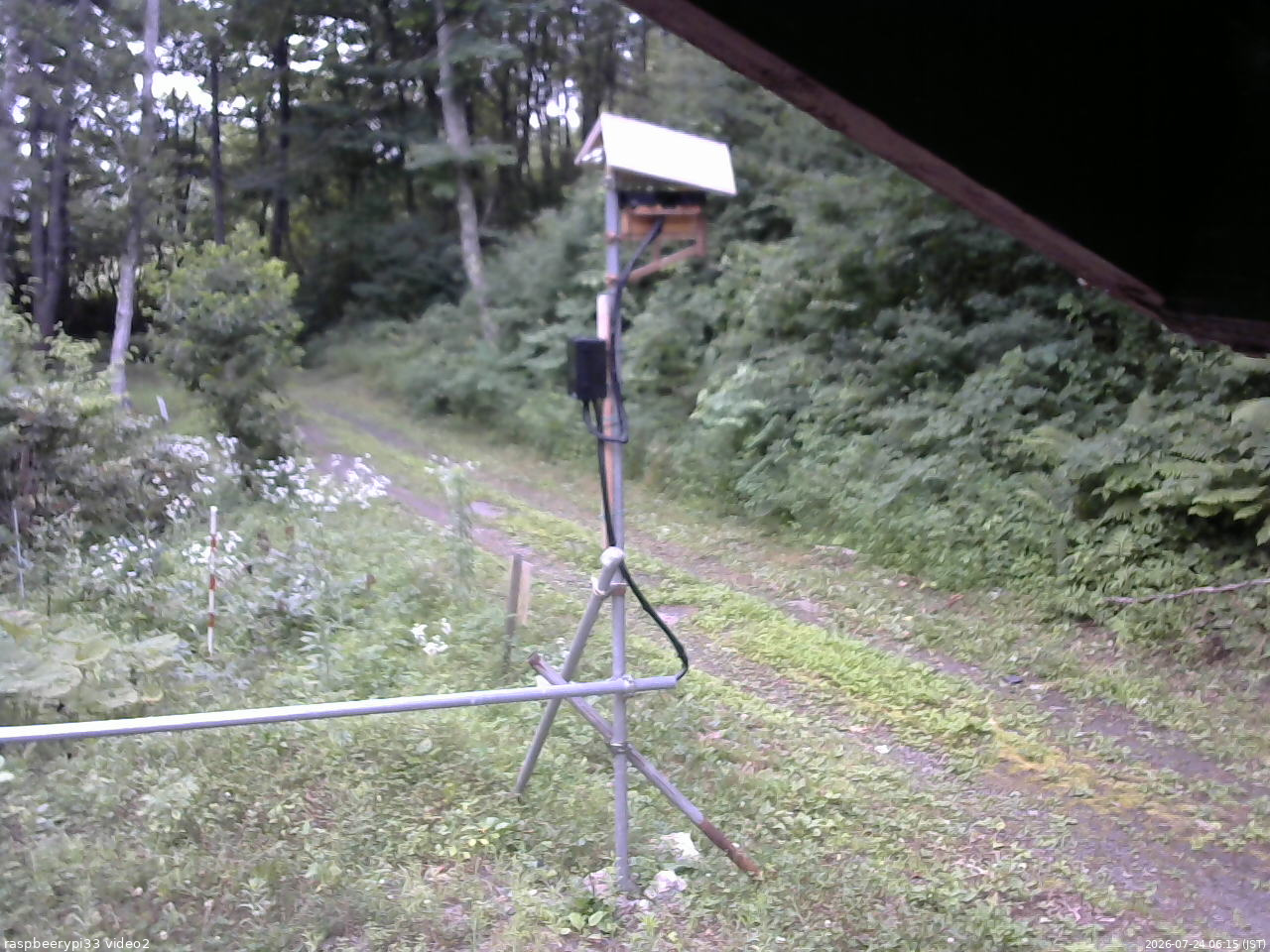 長野県菅平高原 ゆたか山荘 南側 2026/07/24 06:15