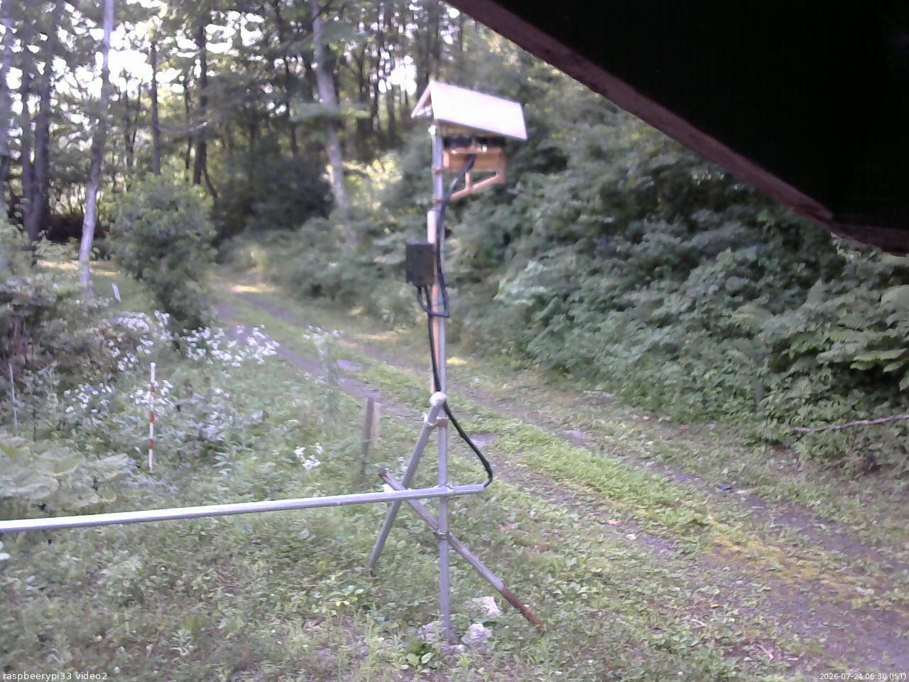 長野県菅平高原 ゆたか山荘 南側 2026/07/24 06:30