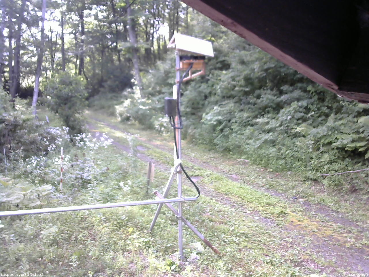 長野県菅平高原 ゆたか山荘 南側 2026/07/24 06:45