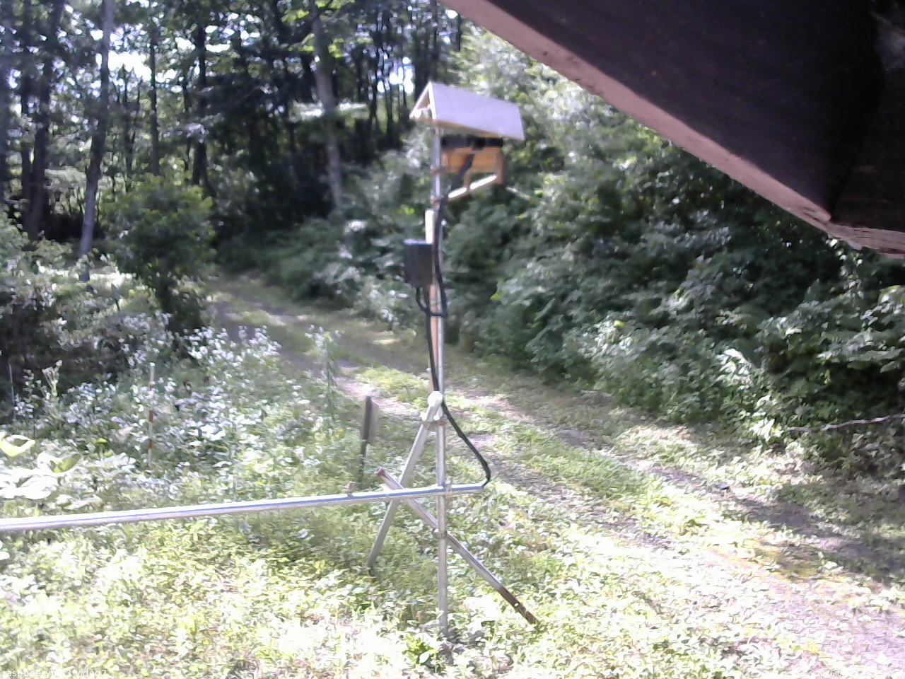 長野県菅平高原 ゆたか山荘 南側 2026/07/24 08:15