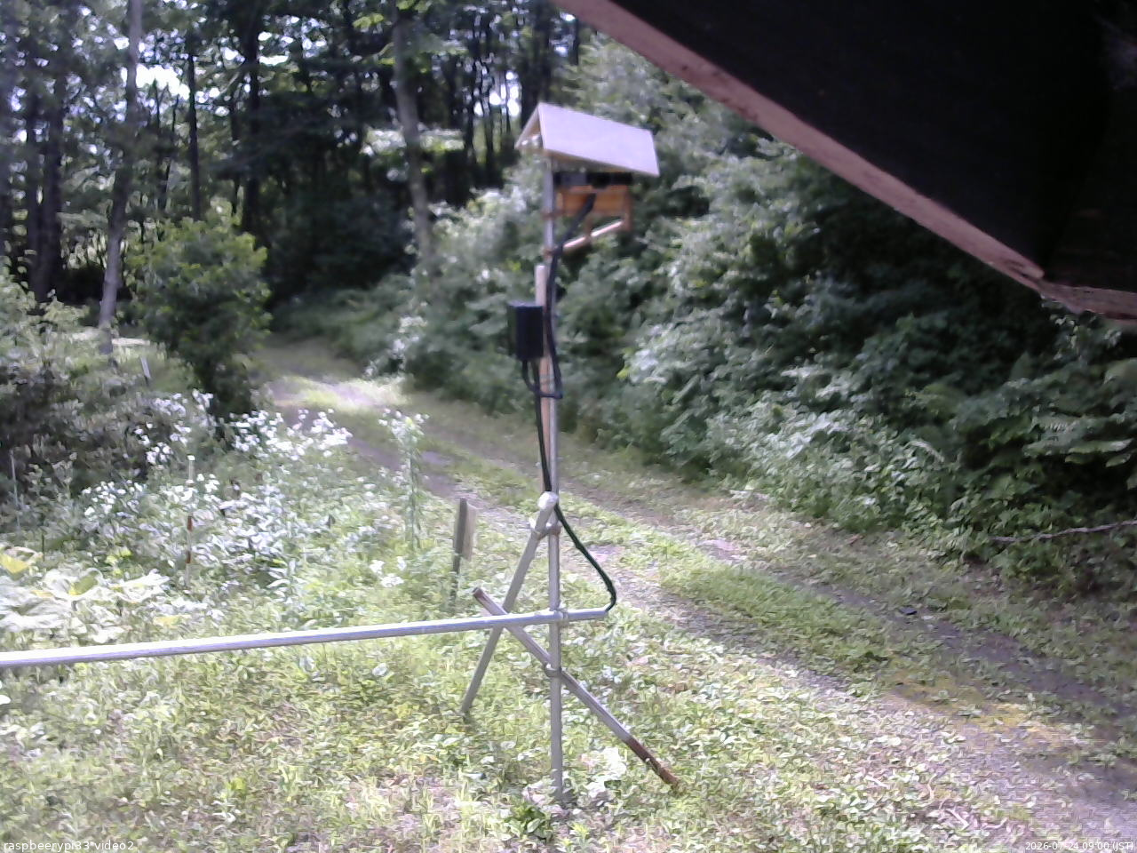 長野県菅平高原 ゆたか山荘 南側 2026/07/24 09:00