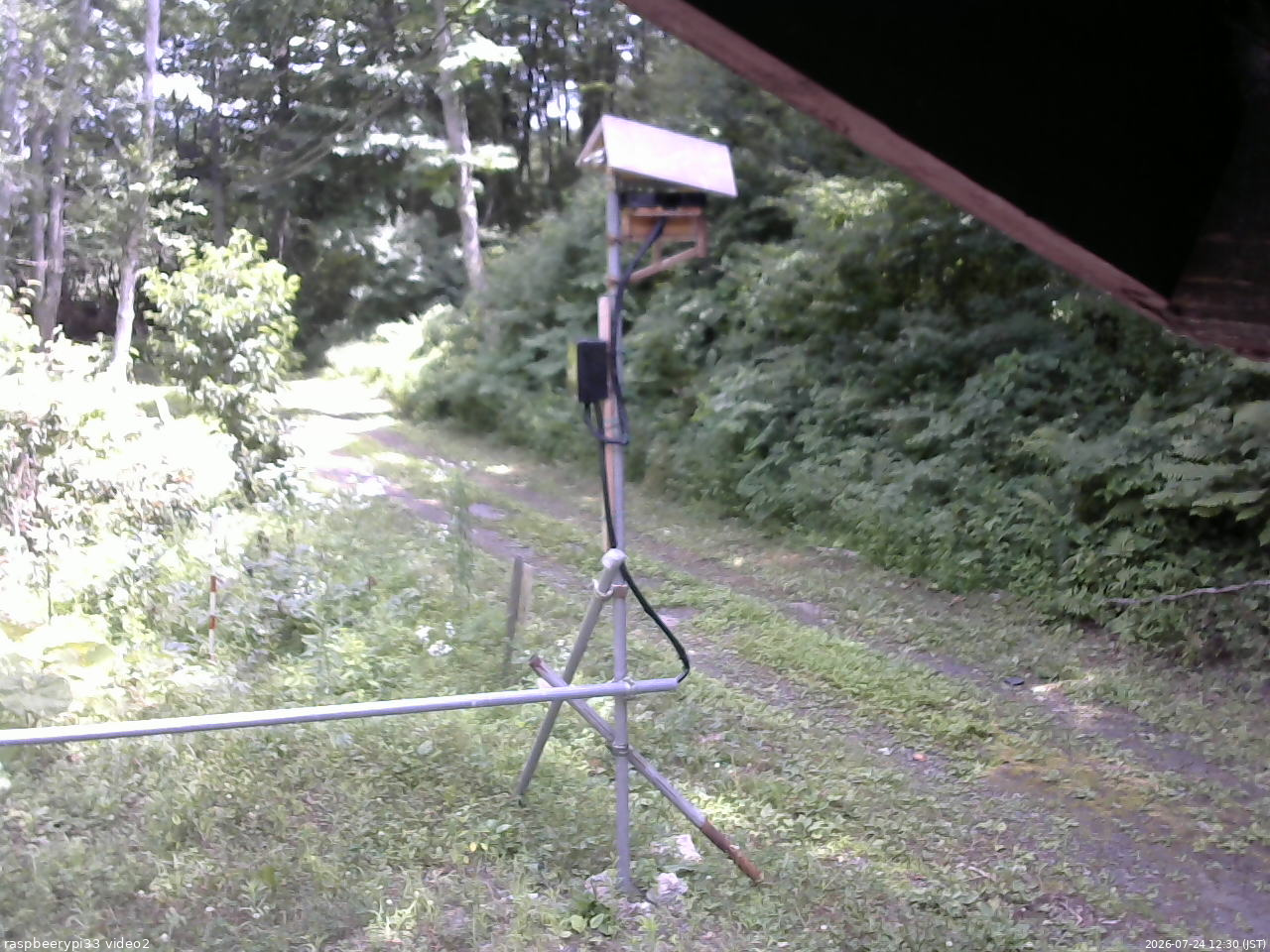 長野県菅平高原 ゆたか山荘 南側 2026/07/24 12:30