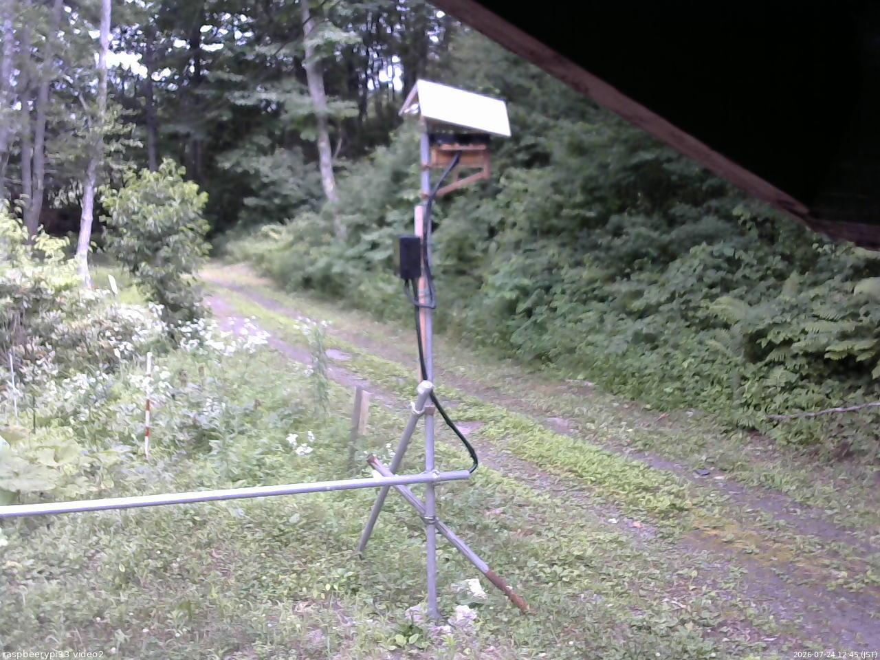 長野県菅平高原 ゆたか山荘 南側 2026/07/24 12:45