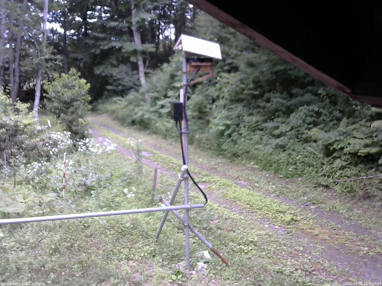長野県菅平高原 ゆたか山荘 南側 2026/07/24 13:00