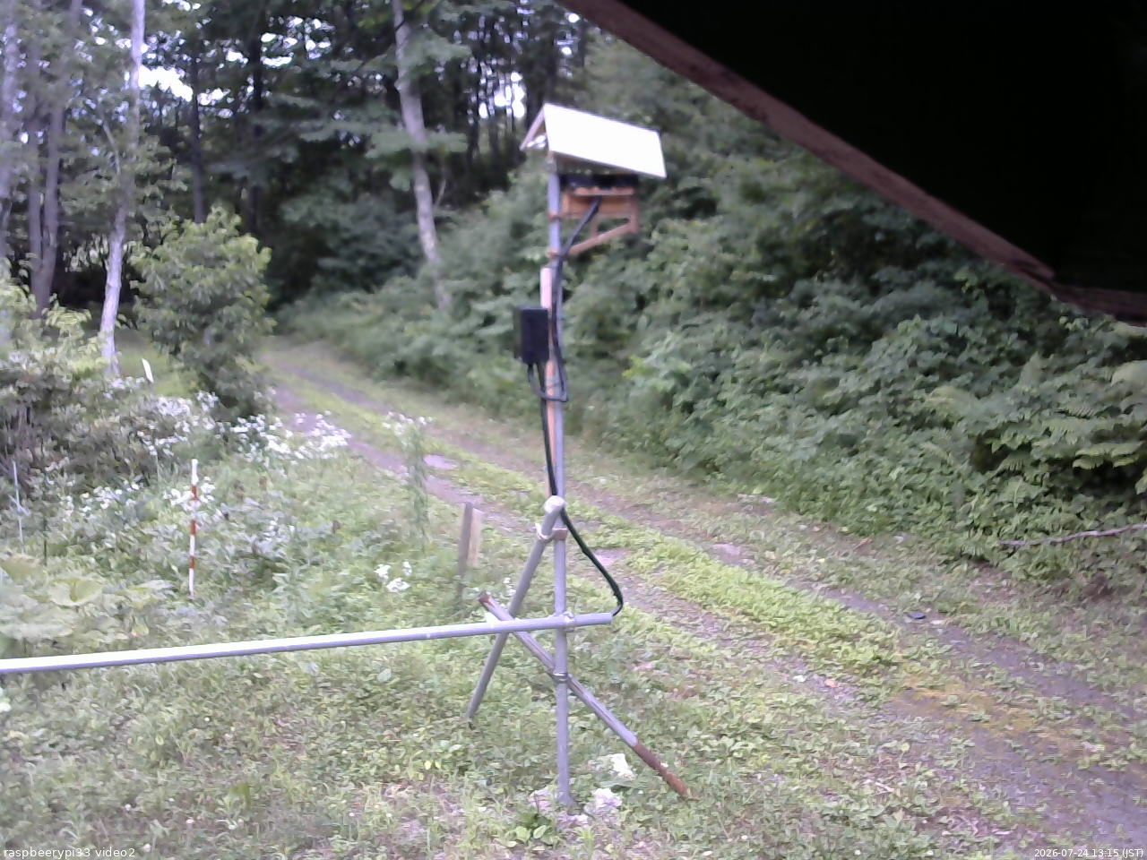 長野県菅平高原 ゆたか山荘 南側 2026/07/24 13:15