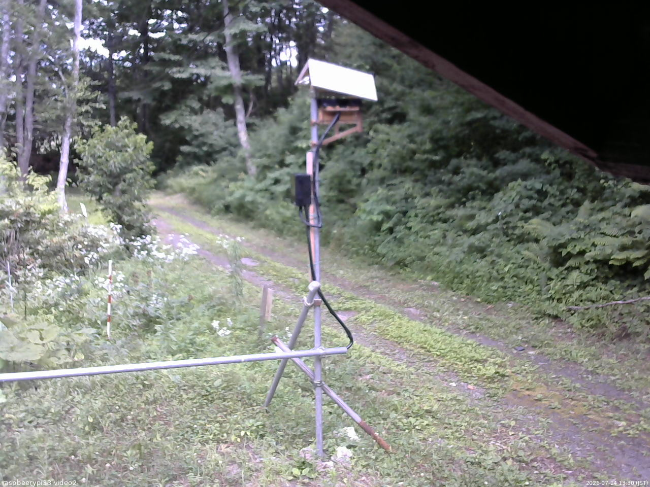 長野県菅平高原 ゆたか山荘 南側 2026/07/24 13:30