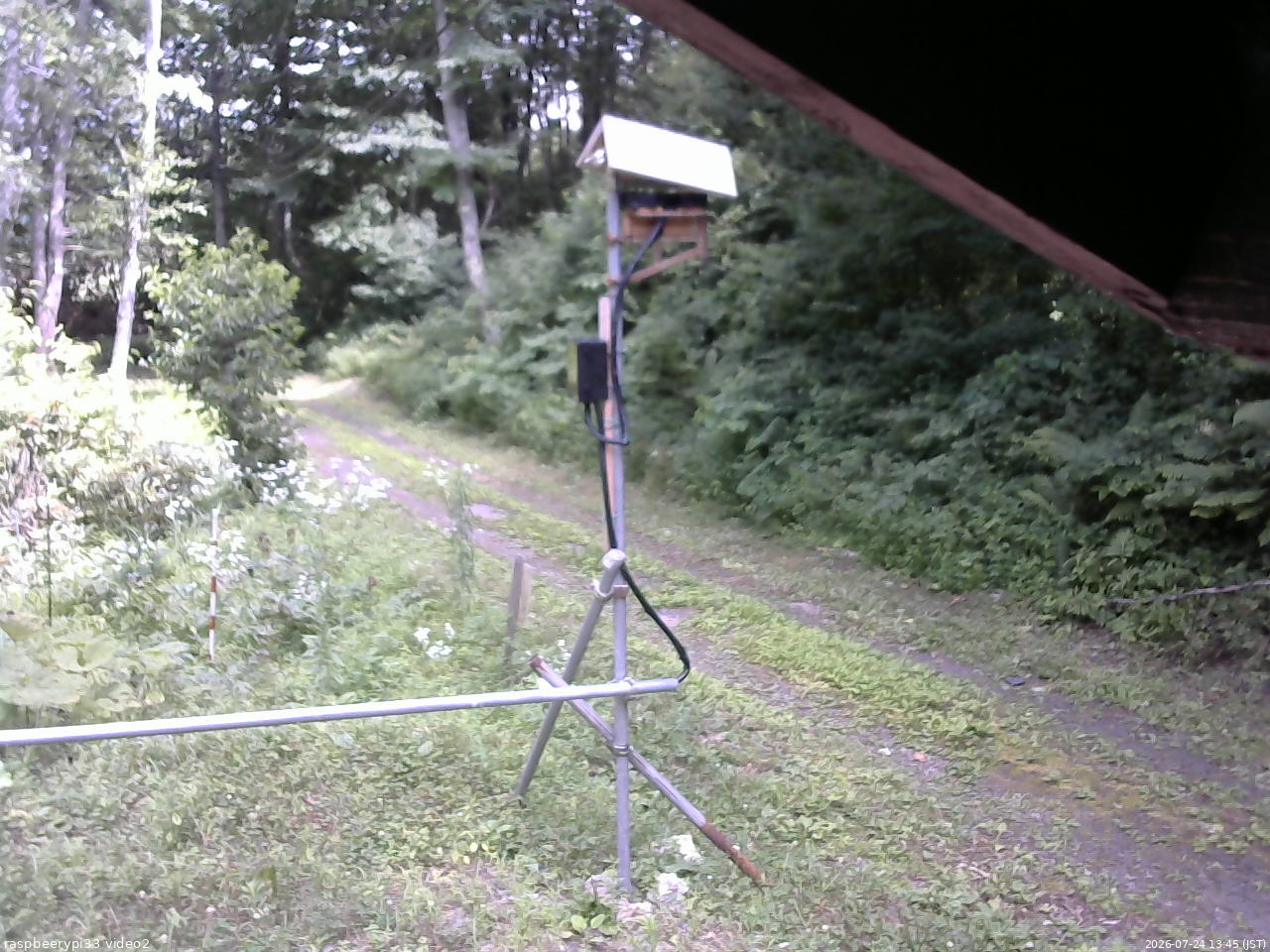 長野県菅平高原 ゆたか山荘 南側 2026/07/24 13:45