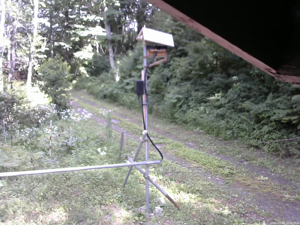 長野県菅平高原 ゆたか山荘 南側 2026/07/24 14:30