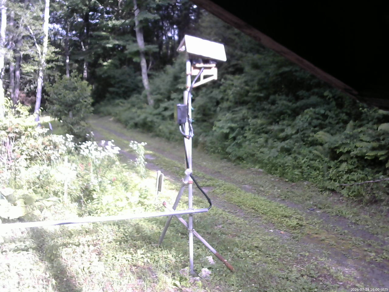 長野県菅平高原 ゆたか山荘 南側 2026/07/24 16:00