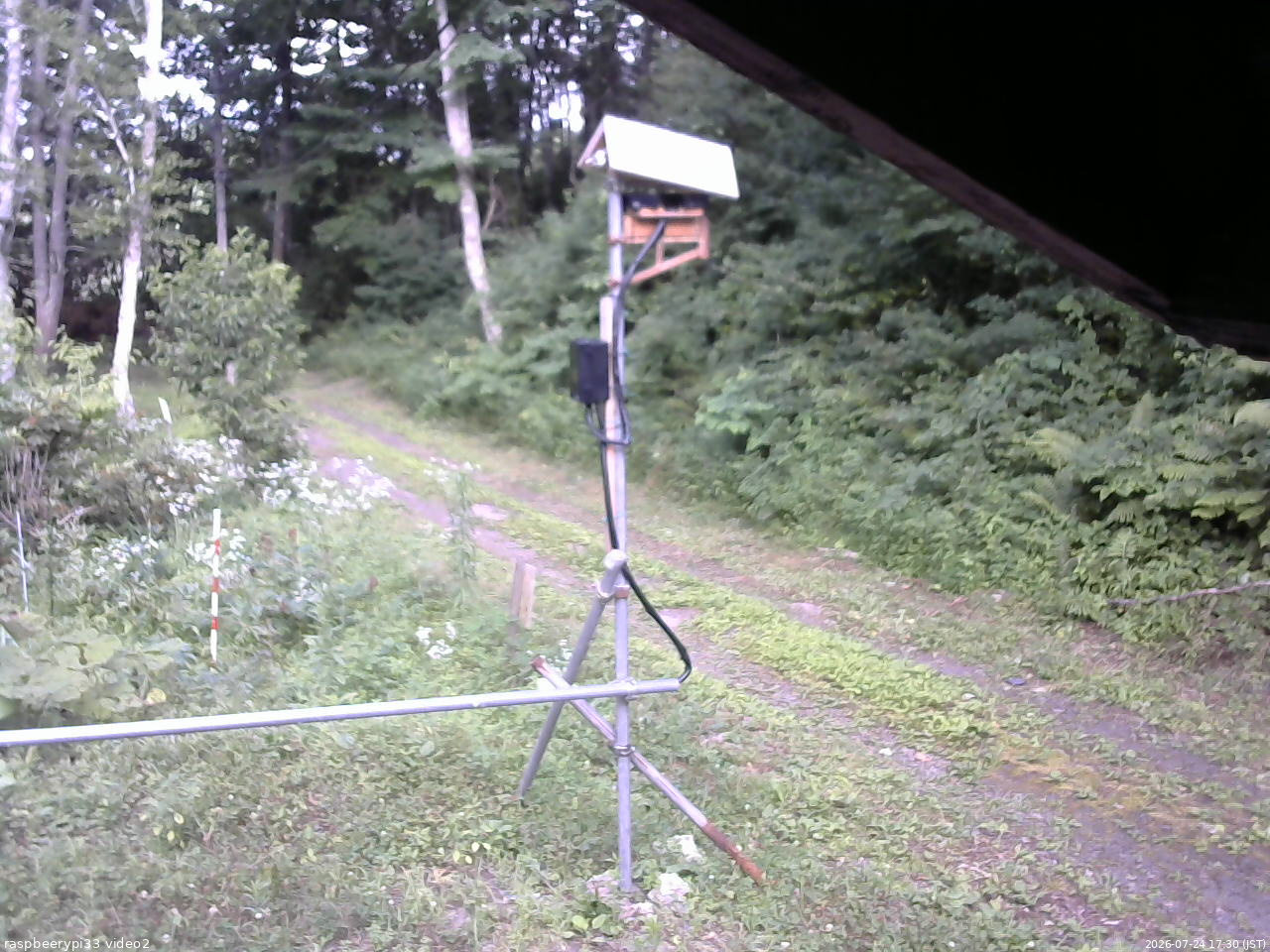 長野県菅平高原 ゆたか山荘 南側 2026/07/24 17:30