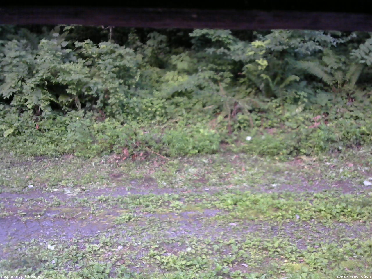 長野県菅平高原 ゆたか山荘 東側(坂下) 2026/07/24 05:15