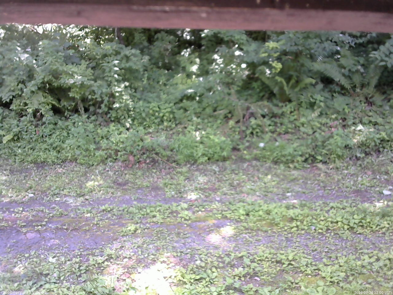 長野県菅平高原 ゆたか山荘 東側(坂下) 2026/07/24 12:00