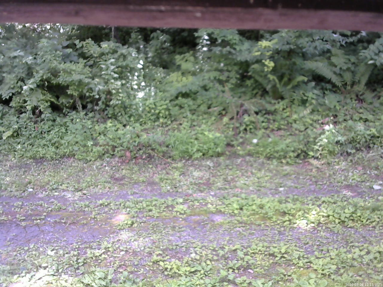 長野県菅平高原 ゆたか山荘 東側(坂下) 2026/07/24 12:15