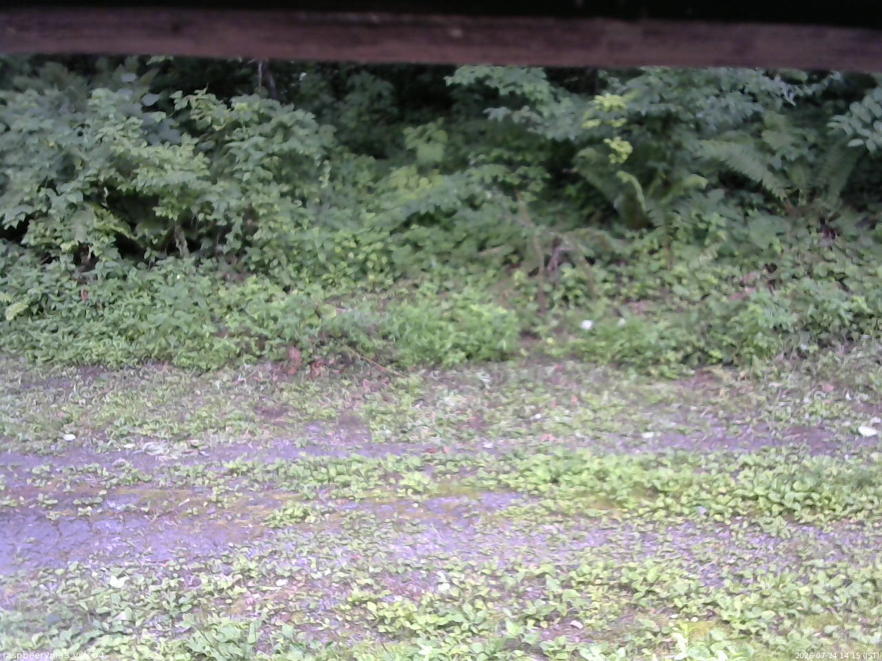 長野県菅平高原 ゆたか山荘 東側(坂下) 2026/07/24 14:15