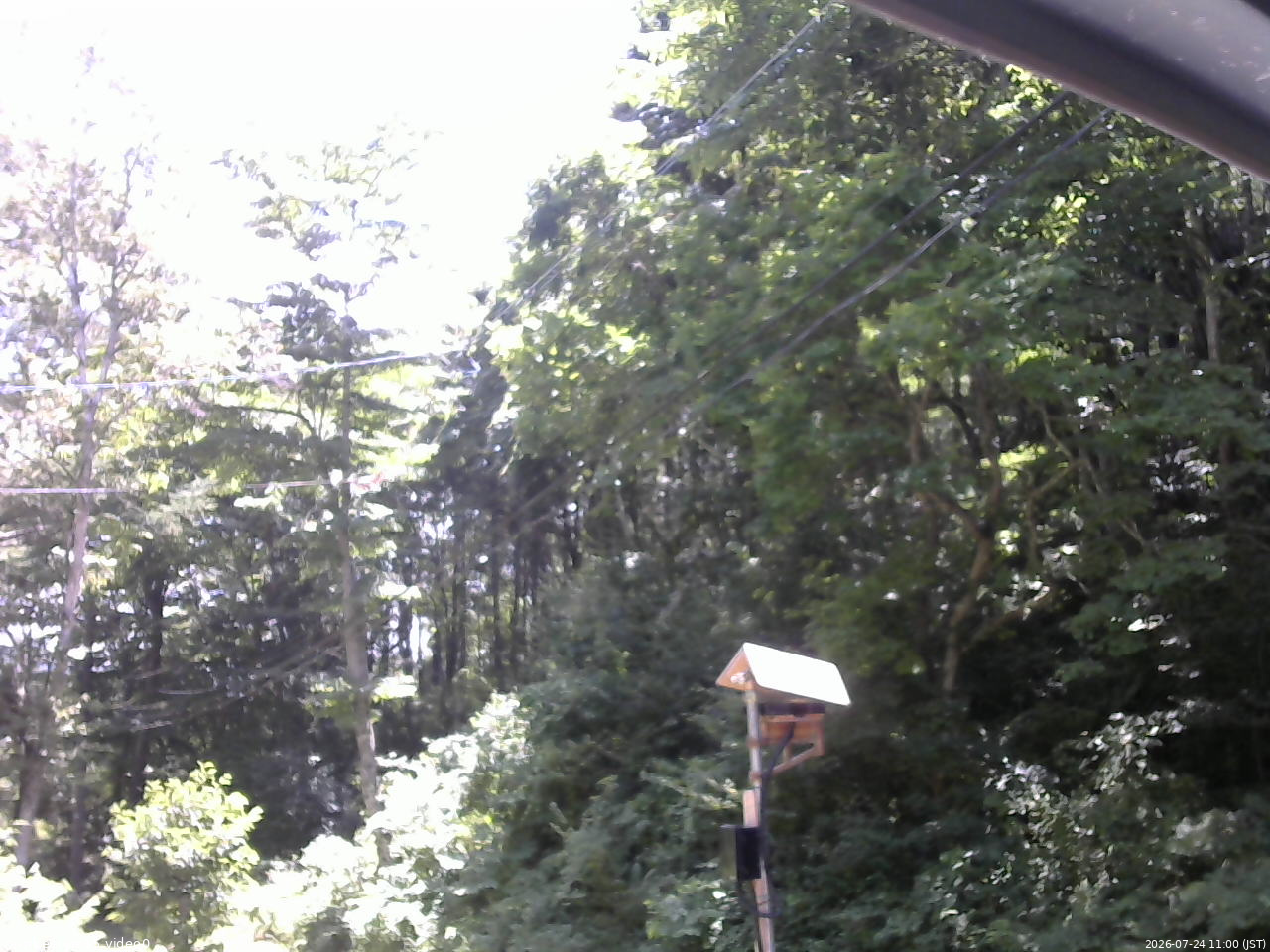 長野県菅平高原 ゆたか山荘 温度計 2026/07/24 11:00