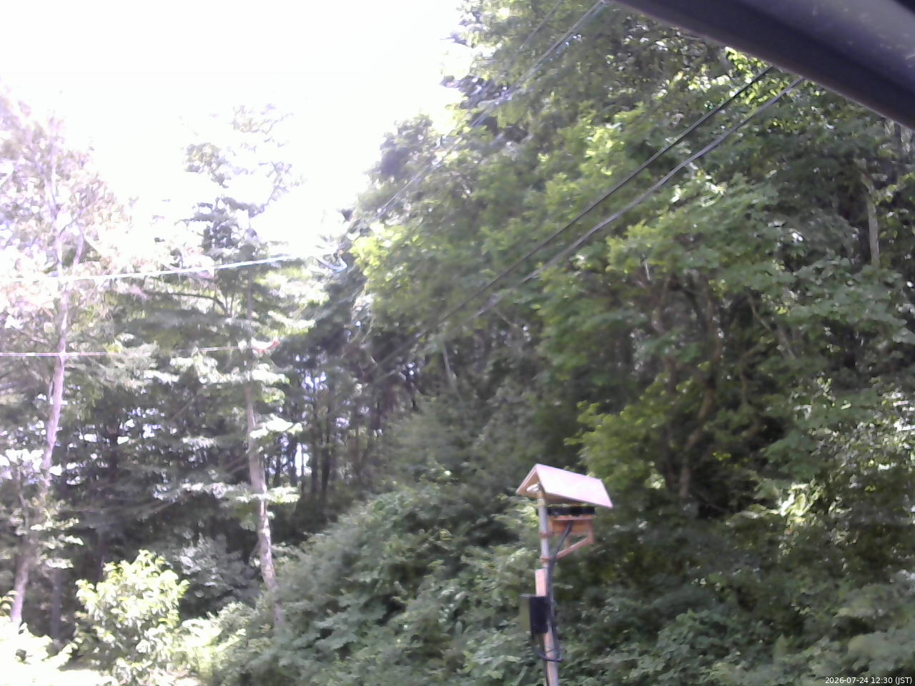長野県菅平高原 ゆたか山荘 温度計 2026/07/24 12:30