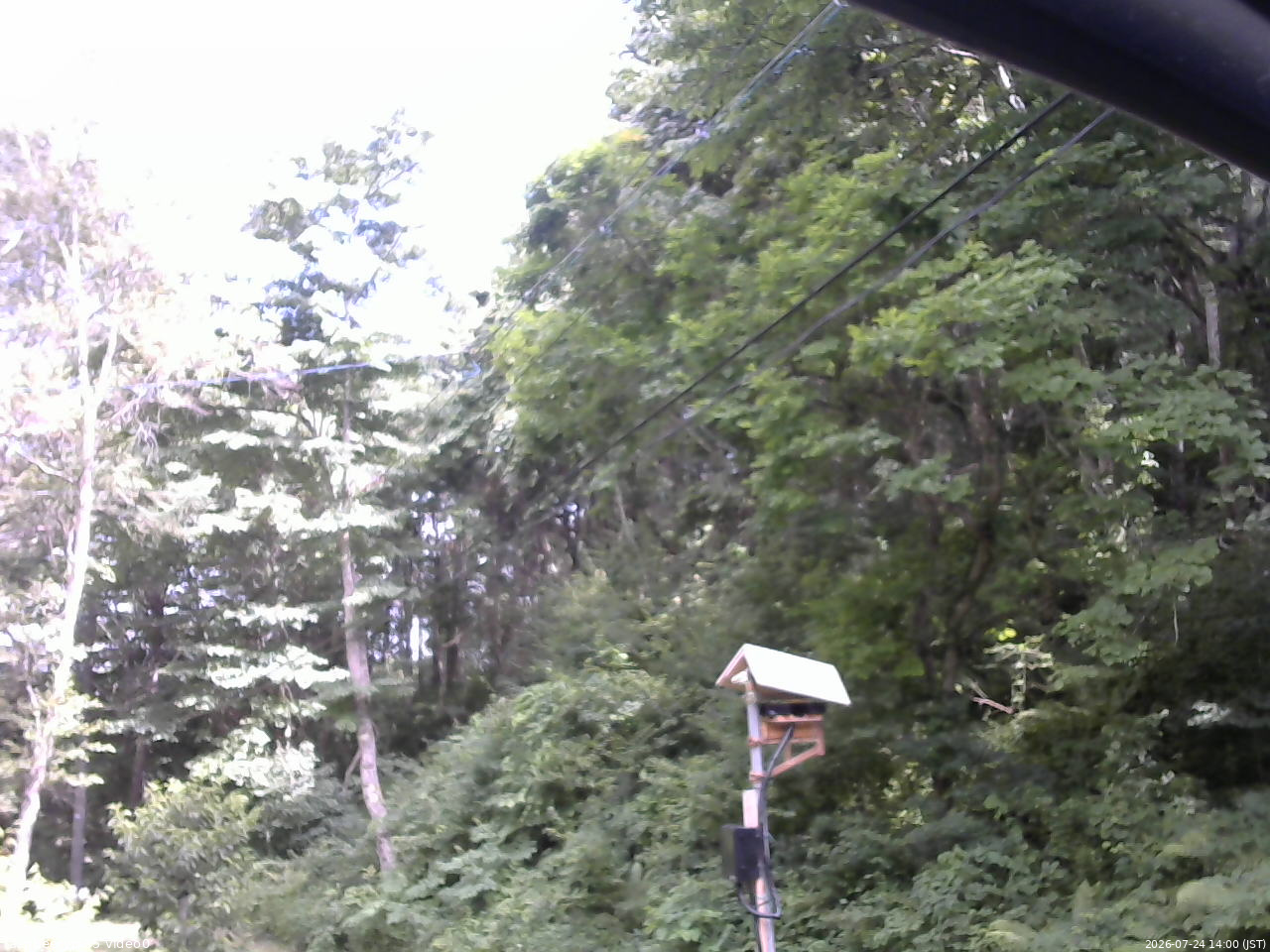 長野県菅平高原 ゆたか山荘 温度計 2026/07/24 14:00