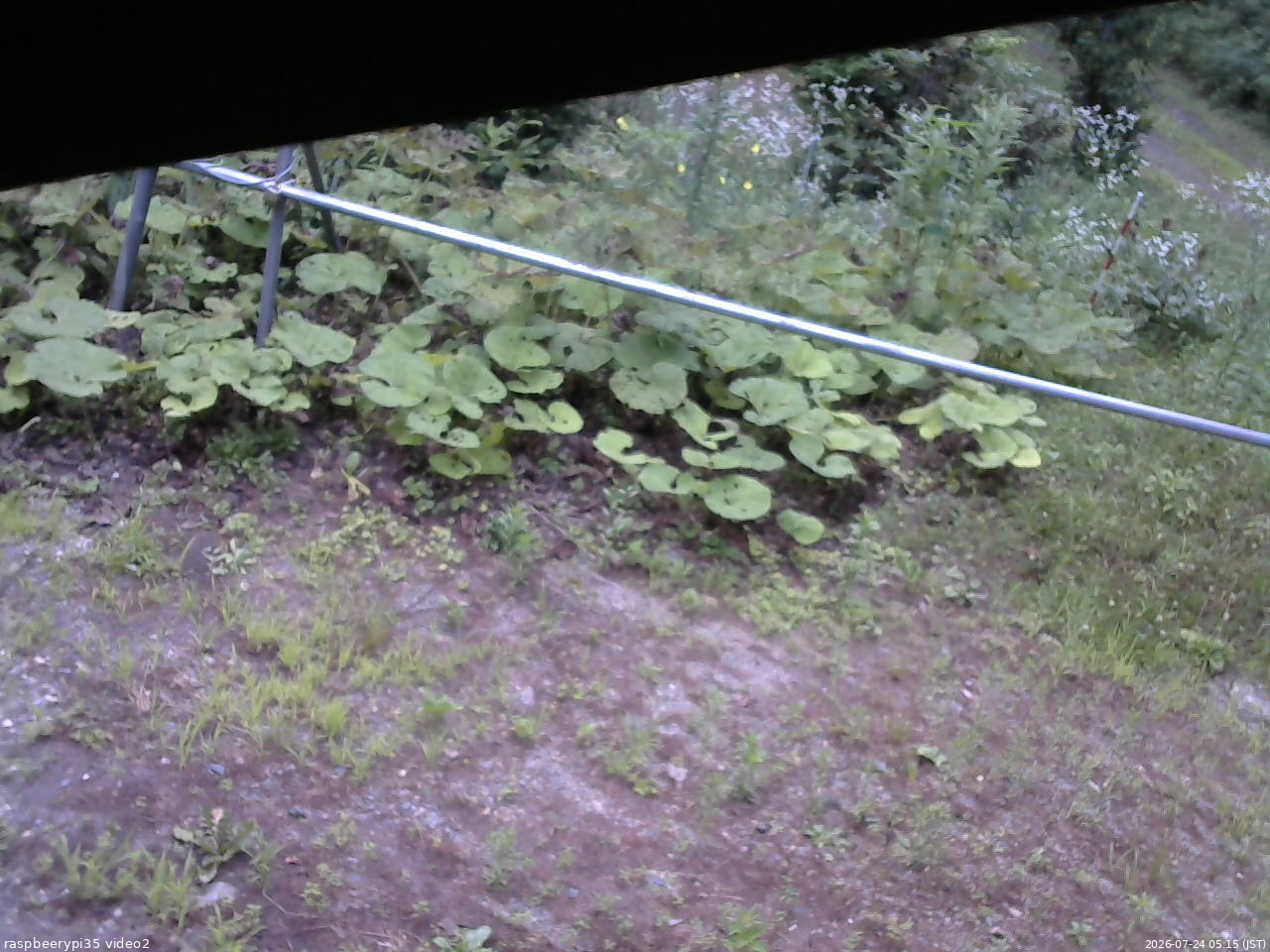 長野県菅平高原 ゆたか山荘 駐車場 2026/07/24 05:15