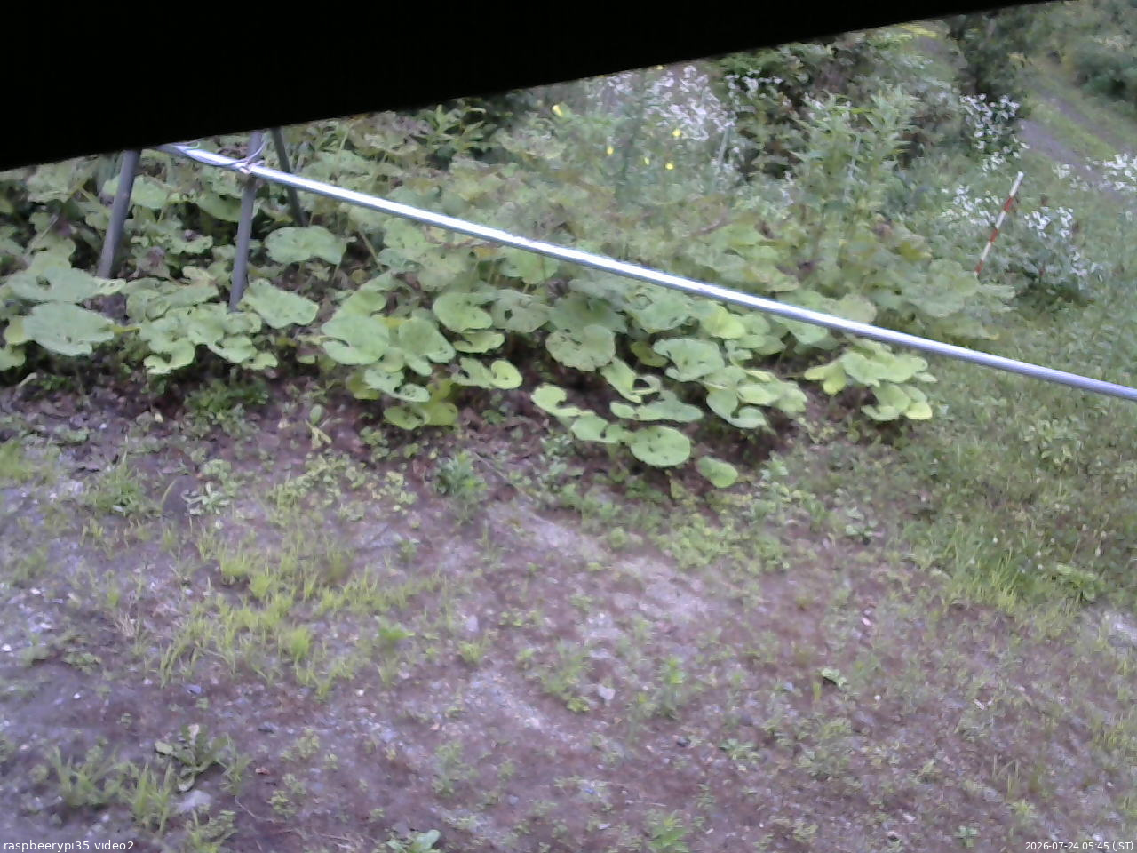 長野県菅平高原 ゆたか山荘 駐車場 2026/07/24 05:45