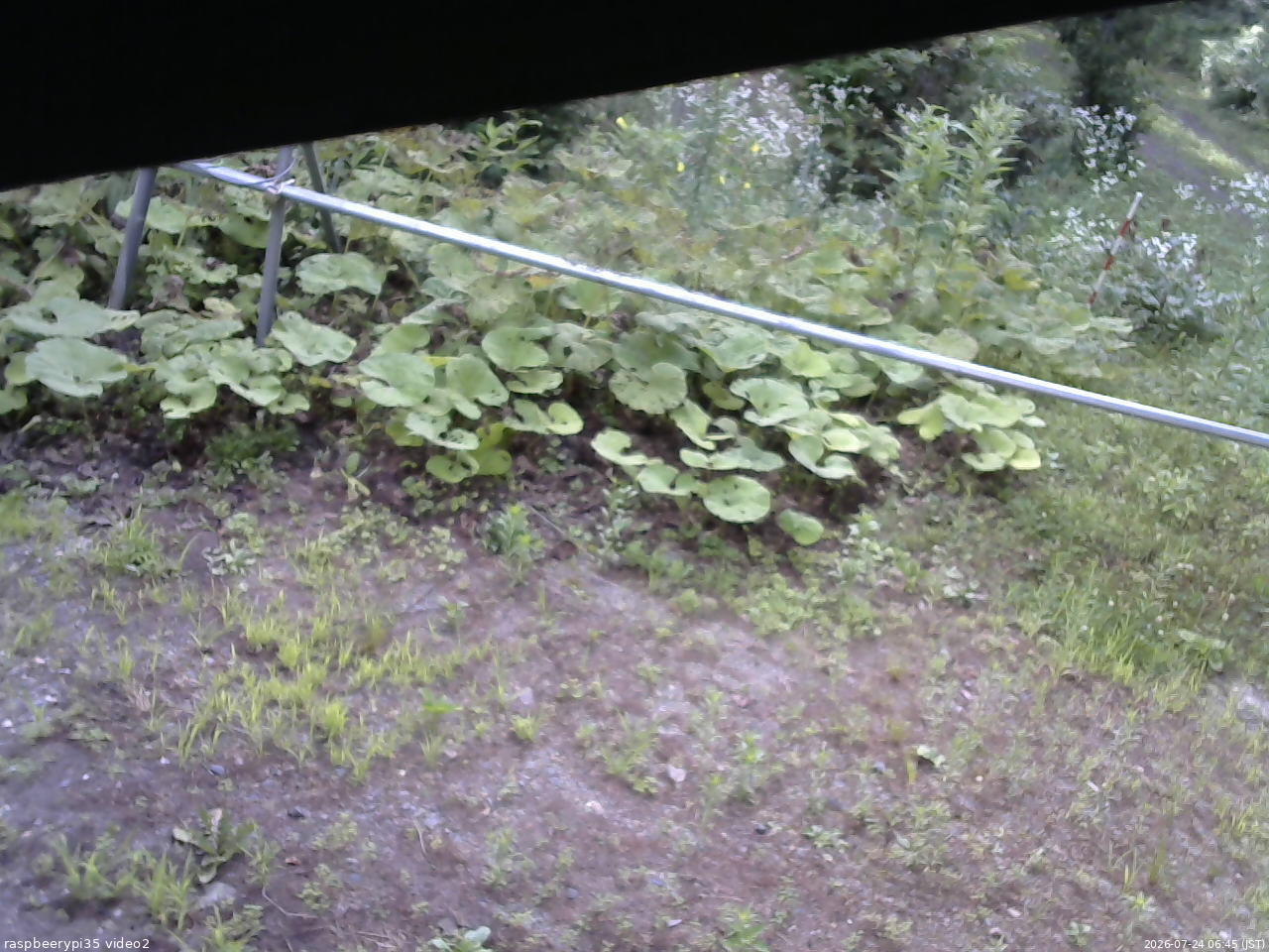 長野県菅平高原 ゆたか山荘 駐車場 2026/07/24 06:45