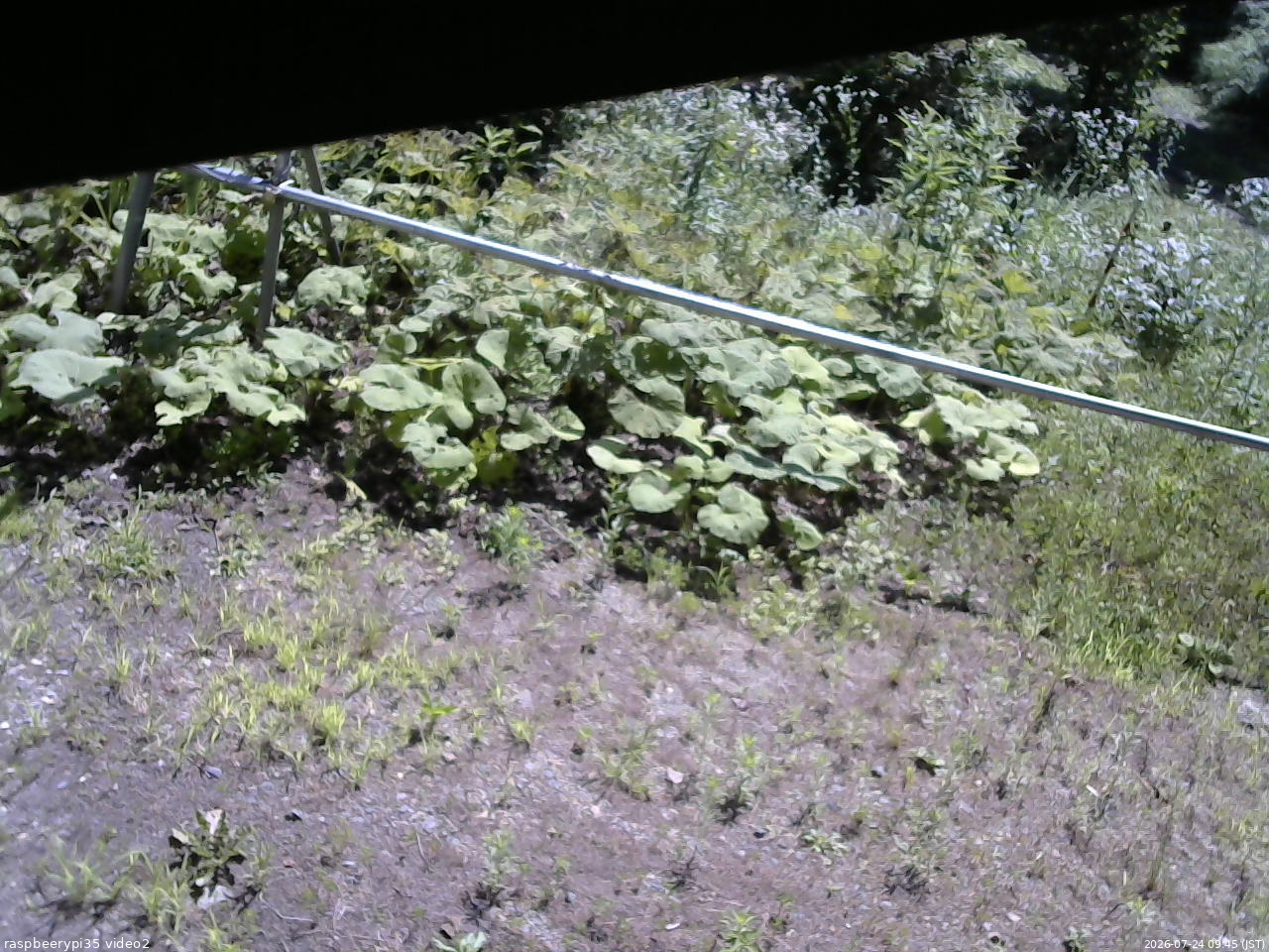 長野県菅平高原 ゆたか山荘 駐車場 2026/07/24 09:45